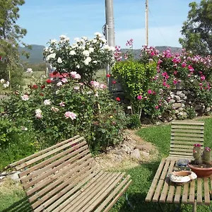 Bed and breakfast Il Vecchioliveto Di Ornella, Marrùbiu